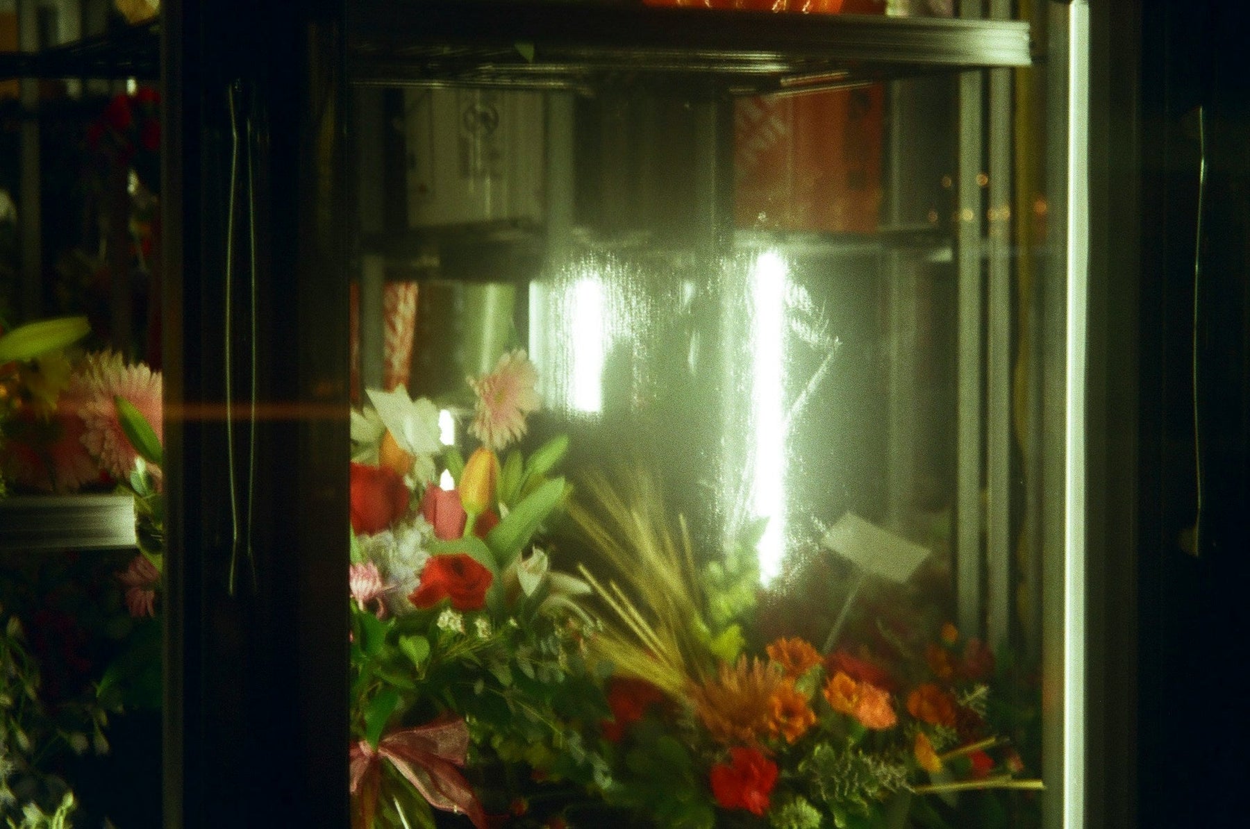 Flower Display Fridges