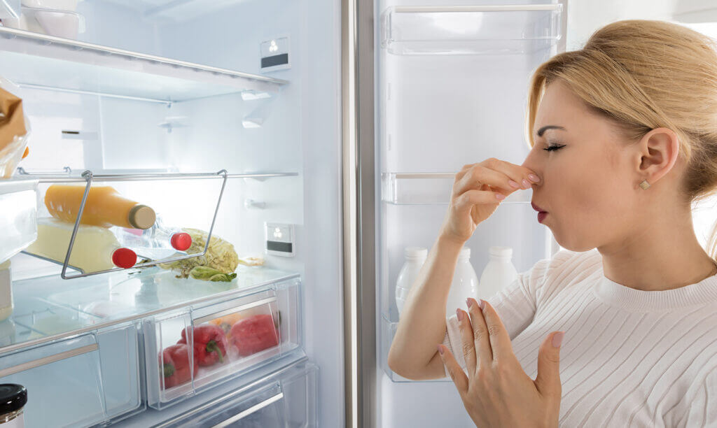 Importance of Odor Control in Commercial Fridges