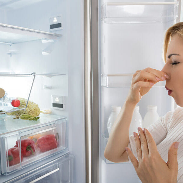 Importance of Odor Control in Commercial Fridges