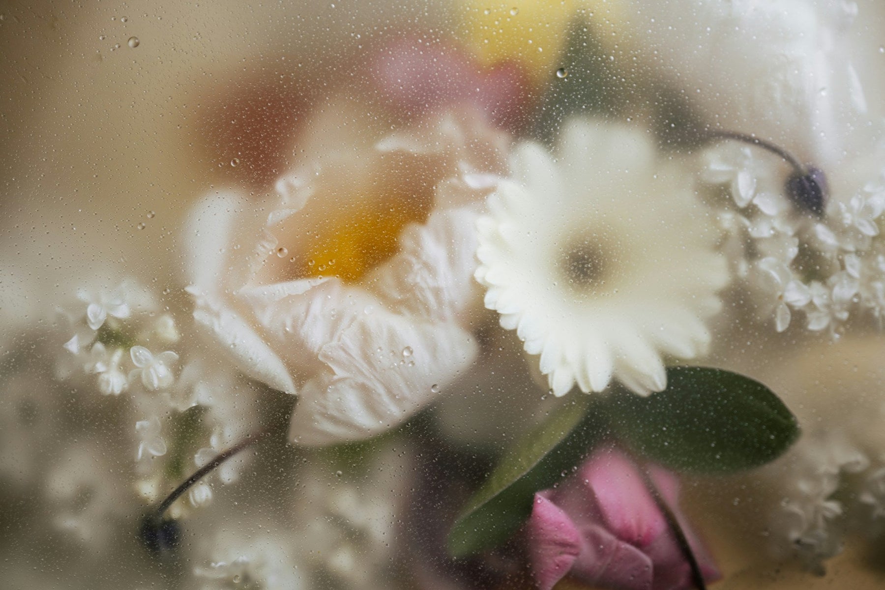 What To Do When Your Flower Display Fridge Makes Unusual Noises