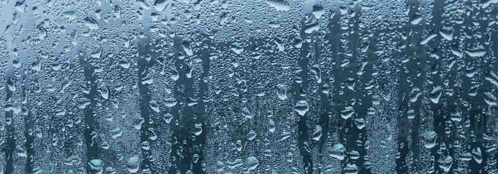 Condensation On Fridge