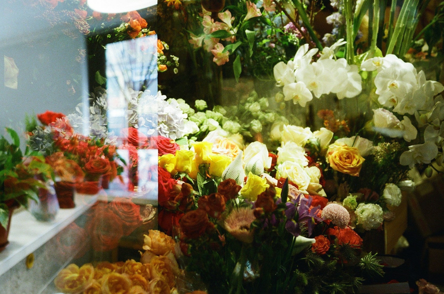 Roses, lilies and mixed cut flowers stored in a florist display fridge