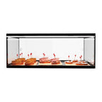 Sayl ADS0025 - Ambient Display Case, Single Tier, 555, 920 or 1200mm