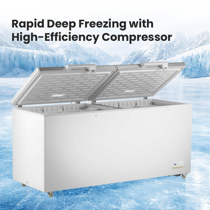 FED Thermaster BD600F - Stainless Steel Double Lid Chest Freezer 600L - image 4