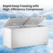 FED Thermaster BD600F - Stainless Steel Double Lid Chest Freezer 600L - image 4