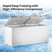 FED Thermaster BD750F - Stainless Steel Double Lid Chest Freezer 750L - image 4