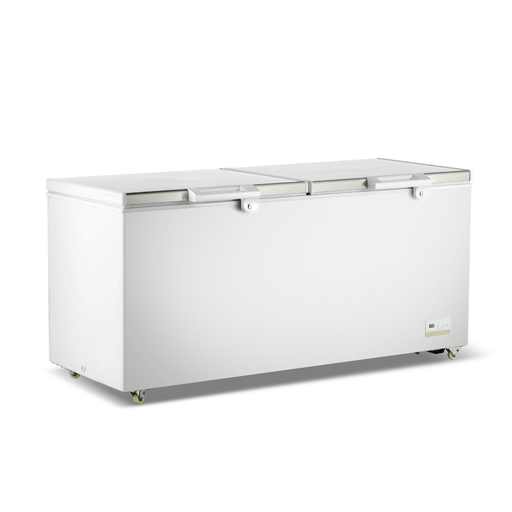 FED Thermaster BD600F - Stainless Steel Double Lid Chest Freezer 600L