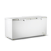 FED Thermaster BD600F - Stainless Steel Double Lid Chest Freezer 600L