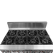 Brenner BREG8RO-1200 - Forge 800 Series 8 Burner Gas Range with Double Fan Forced Oven 1200mm - image 5