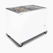 Bromic CF0300FTFG-NR - Display Chest Freezer 296L, Flat Glass Top, 1010mm