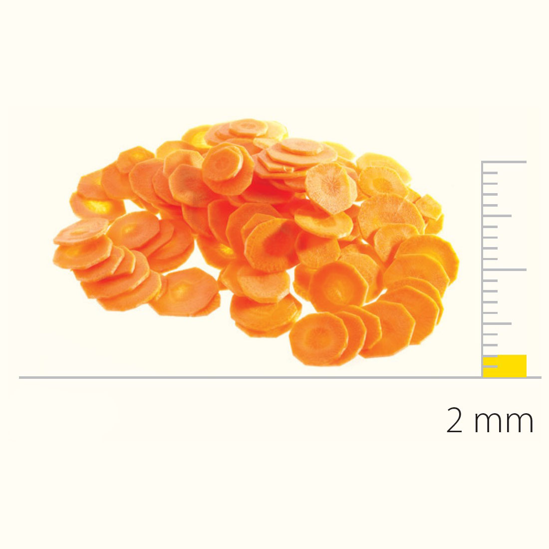 Dito Sama Slicing Discs for TRS-500 & TRK, 205mm - 2 mm slice (DS650083)