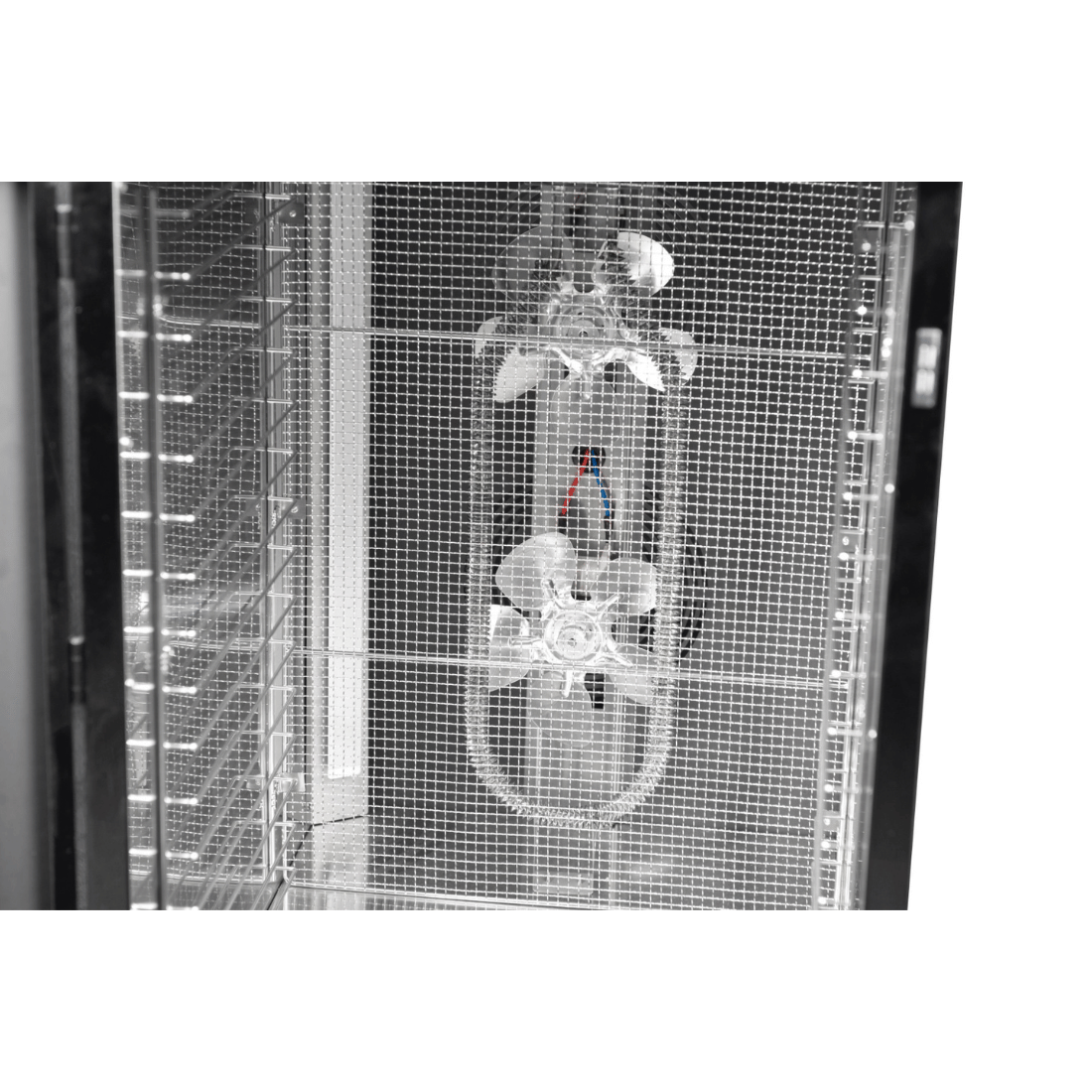 Benchstar FD-16HB - 16 Tray Commercial Food Dehydrator - image 11