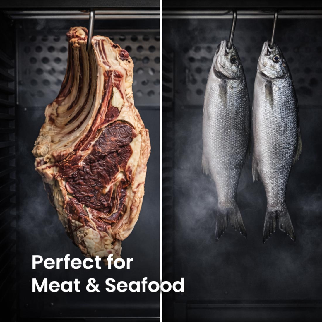 FED Thermaster MA400 - Dry Ageing Cabinet Black Stainless Steel 400L - image 6