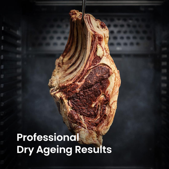FED Thermaster MA400 - Dry Ageing Cabinet Black Stainless Steel 400L - image 8