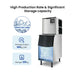 Blizzard SN-420P - Ice Cube Maker with 125kg Bin 189kg/24hr - image 4